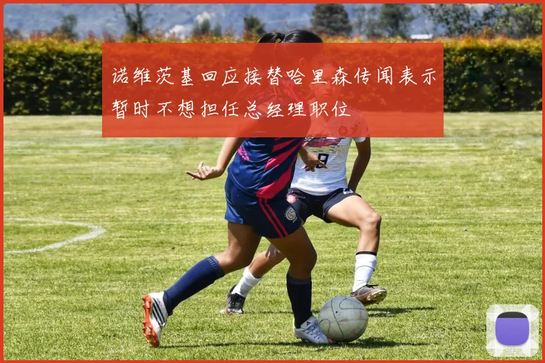 诺维茨基回应接替哈里森传闻表示暂时不想担任总经理职位
