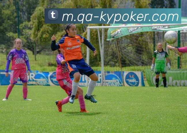 开云棋牌官网APP 封面图